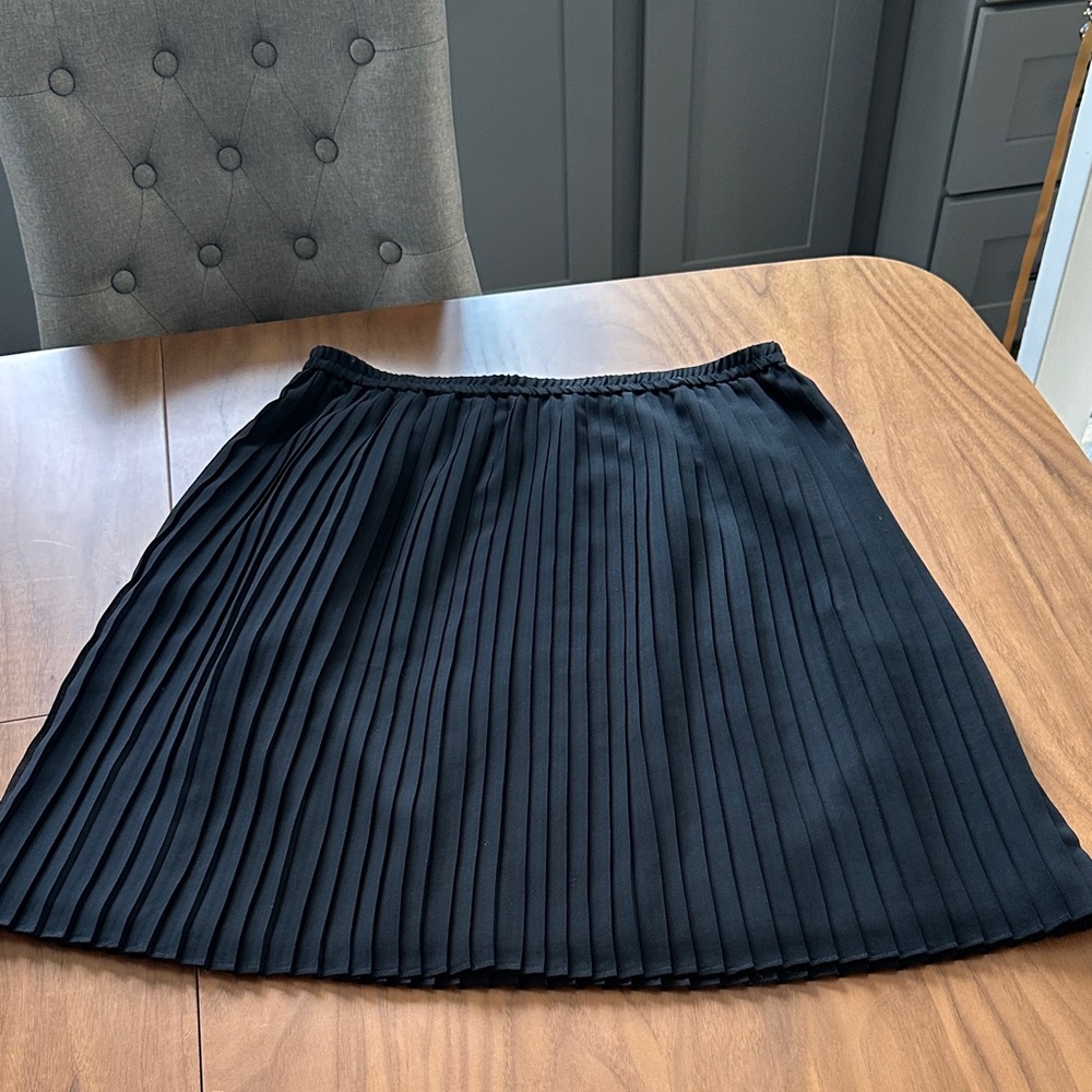 Banana Republic Black Pleated Mini Skirt